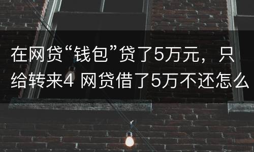在网贷“钱包”贷了5万元，只给转来4 网贷借了5万不还怎么办