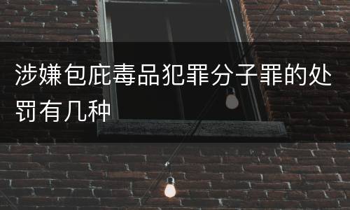 涉嫌包庇毒品犯罪分子罪的处罚有几种