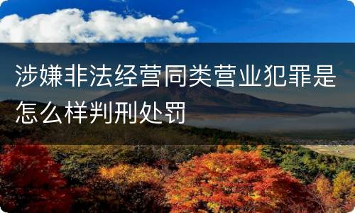 涉嫌非法经营同类营业犯罪是怎么样判刑处罚