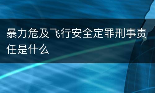 暴力危及飞行安全定罪刑事责任是什么