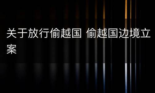 关于放行偷越国 偷越国边境立案
