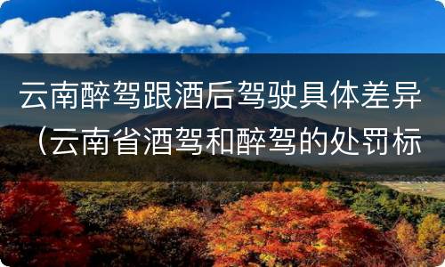 云南醉驾跟酒后驾驶具体差异（云南省酒驾和醉驾的处罚标准）
