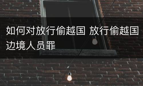如何对放行偷越国 放行偷越国边境人员罪