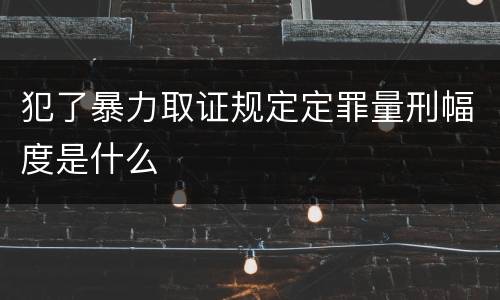 犯了暴力取证规定定罪量刑幅度是什么