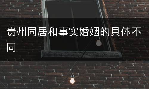 贵州同居和事实婚姻的具体不同