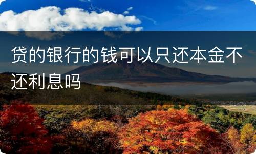 贷的银行的钱可以只还本金不还利息吗