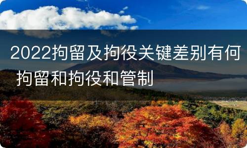 2022拘留及拘役关键差别有何 拘留和拘役和管制