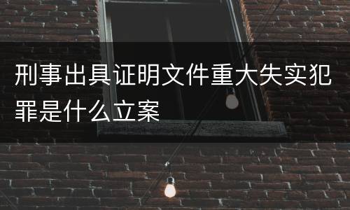 刑事出具证明文件重大失实犯罪是什么立案