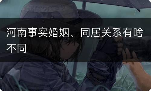 河南事实婚姻、同居关系有啥不同