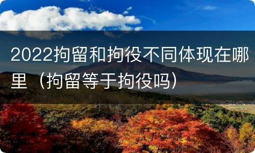 2022拘留和拘役不同体现在哪里（拘留等于拘役吗）
