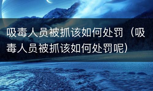 吸毒人员被抓该如何处罚（吸毒人员被抓该如何处罚呢）