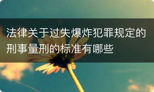 法律关于过失爆炸犯罪规定的刑事量刑的标准有哪些