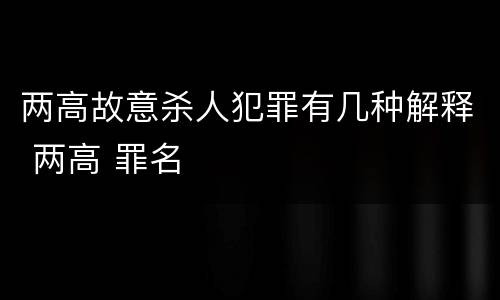 两高故意杀人犯罪有几种解释 两高 罪名