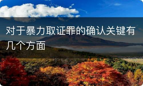 对于暴力取证罪的确认关键有几个方面