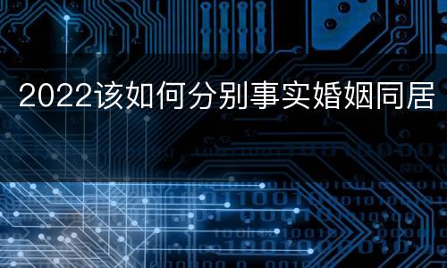2022该如何分别事实婚姻同居
