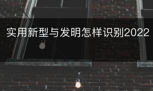 实用新型与发明怎样识别2022