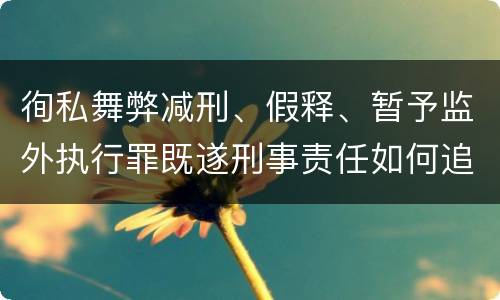 徇私舞弊减刑、假释、暂予监外执行罪既遂刑事责任如何追究