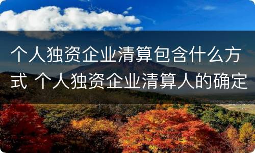 个人独资企业清算包含什么方式 个人独资企业清算人的确定