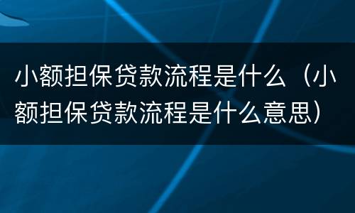 小额担保贷款流程是什么（小额担保贷款流程是什么意思）