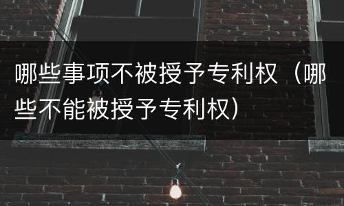 哪些事项不被授予专利权（哪些不能被授予专利权）
