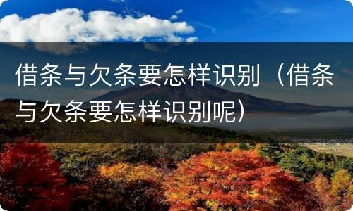 借条与欠条要怎样识别（借条与欠条要怎样识别呢）