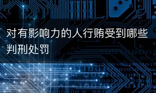 对有影响力的人行贿受到哪些判刑处罚