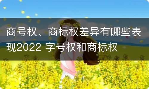商号权、商标权差异有哪些表现2022 字号权和商标权