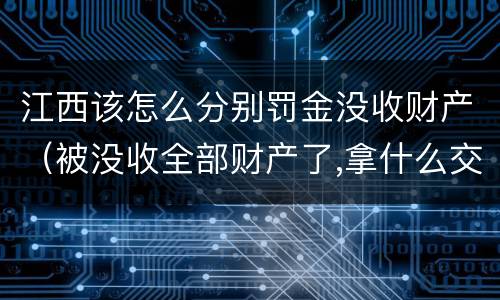 江西该怎么分别罚金没收财产（被没收全部财产了,拿什么交罚金）
