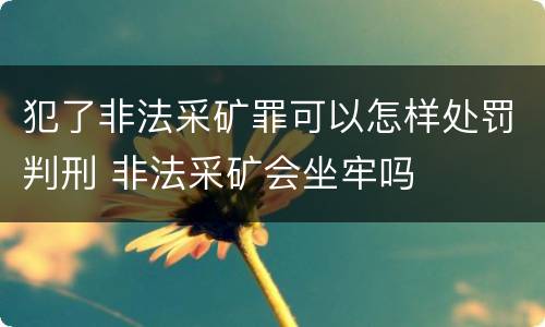 犯了非法采矿罪可以怎样处罚判刑 非法采矿会坐牢吗