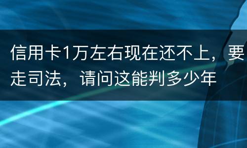 信用卡1万左右现在还不上，要走司法，请问这能判多少年