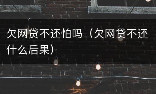 欠网贷不还怕吗（欠网贷不还什么后果）