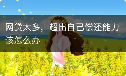 网贷太多，超出自己偿还能力该怎么办