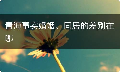 青海事实婚姻、同居的差别在哪