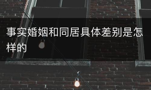 事实婚姻和同居具体差别是怎样的