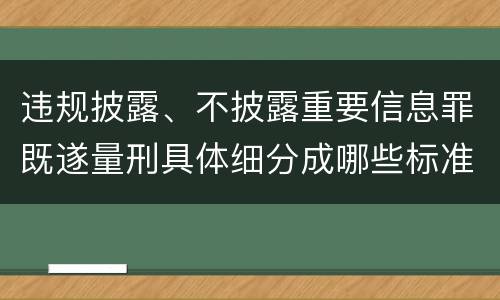 违规披露、不披露重要信息罪既遂量刑具体细分成哪些标准