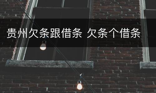 贵州欠条跟借条 欠条个借条