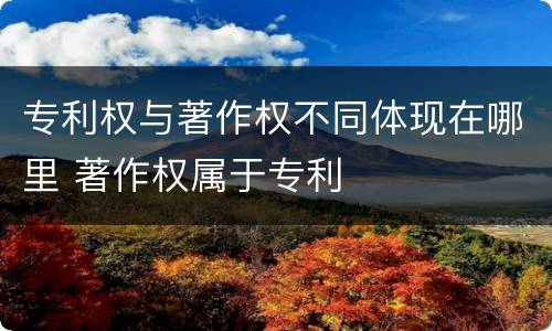 专利权与著作权不同体现在哪里 著作权属于专利