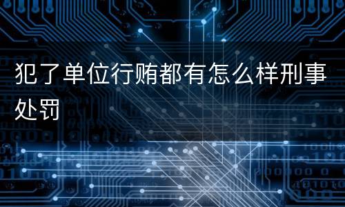 犯了单位行贿都有怎么样刑事处罚