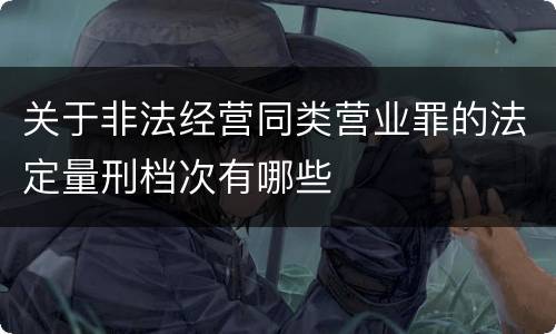 关于非法经营同类营业罪的法定量刑档次有哪些