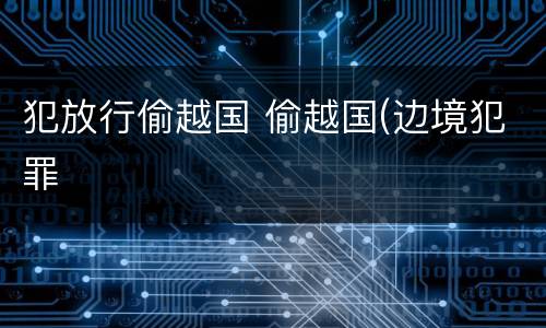 犯放行偷越国 偷越国(边境犯罪