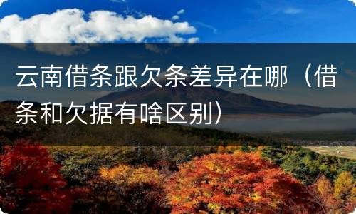 云南借条跟欠条差异在哪（借条和欠据有啥区别）