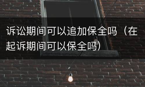 诉讼期间可以追加保全吗（在起诉期间可以保全吗）