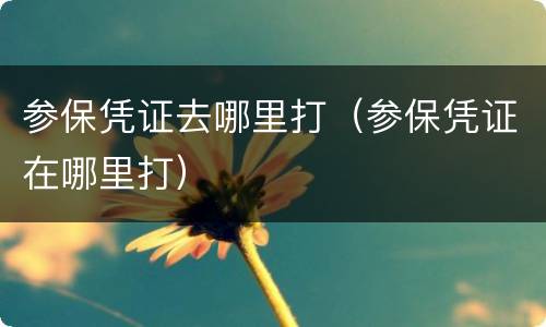 参保凭证去哪里打（参保凭证在哪里打）