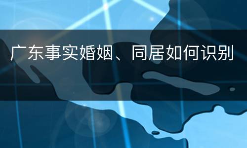 广东事实婚姻、同居如何识别