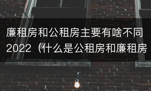 廉租房和公租房主要有啥不同2022（什么是公租房和廉租房）