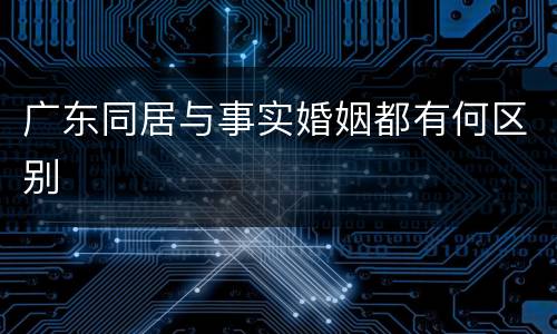 广东同居与事实婚姻都有何区别
