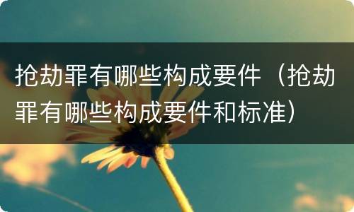 抢劫罪有哪些构成要件（抢劫罪有哪些构成要件和标准）