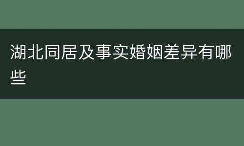 湖北同居及事实婚姻差异有哪些