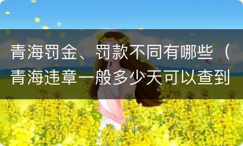 青海罚金、罚款不同有哪些（青海违章一般多少天可以查到）