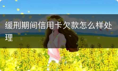 缓刑期间信用卡欠款怎么样处理